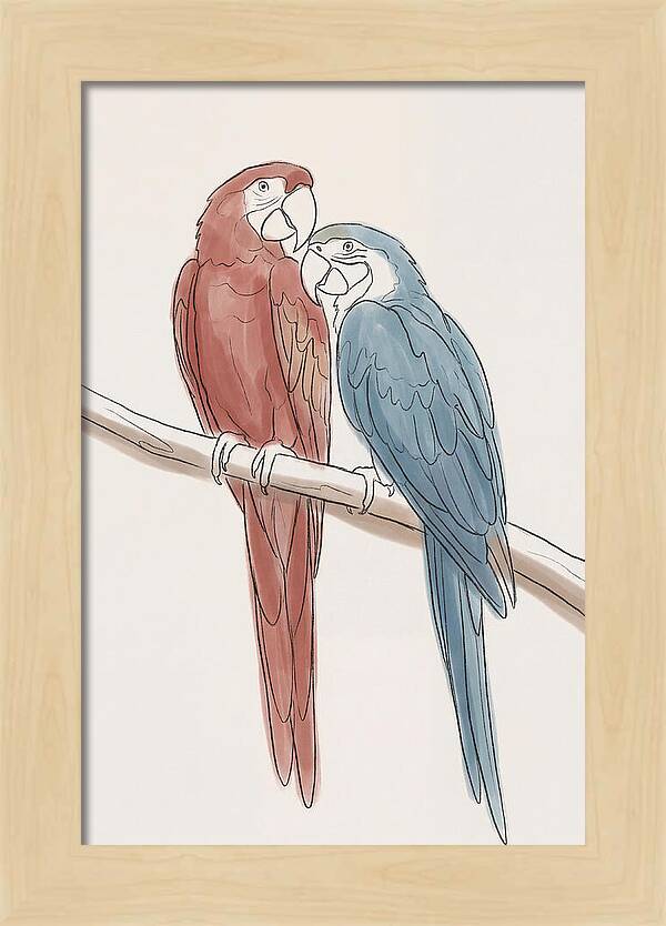 Macaw Pair In Vivid Colors