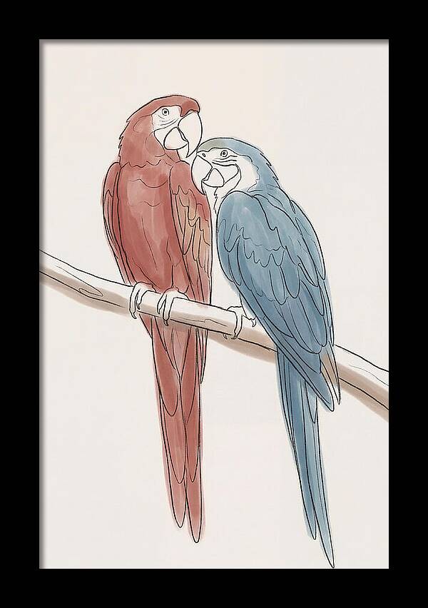 Macaw Pair In Vivid Colors
