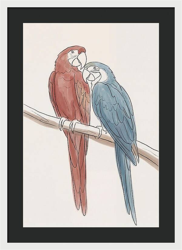 Macaw Pair In Vivid Colors