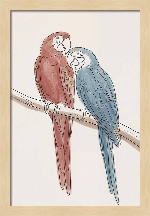 Macaw Pair In Vivid Colors