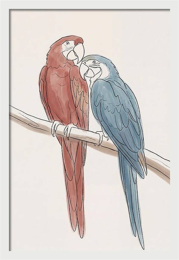 Macaw Pair In Vivid Colors