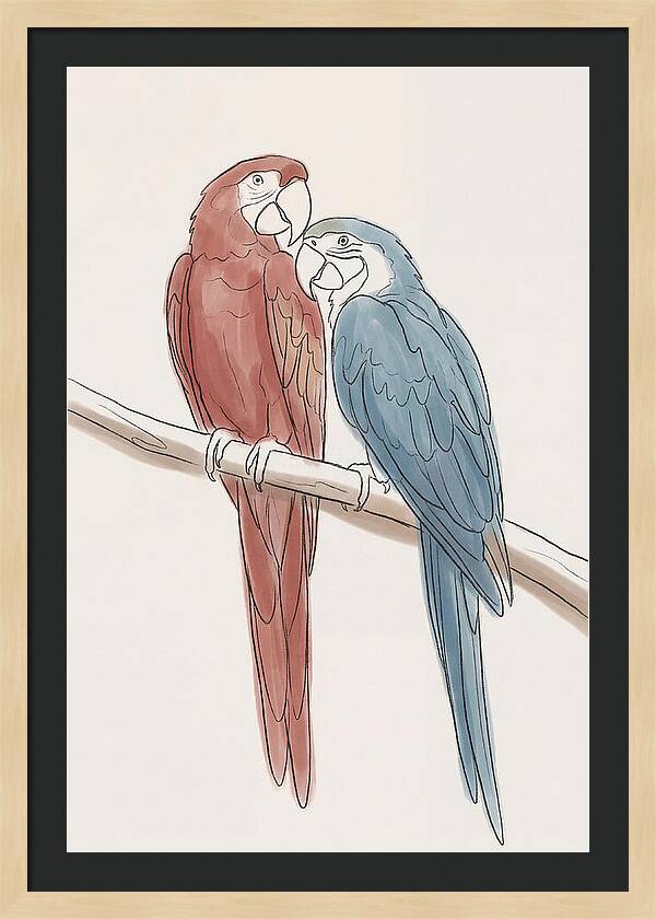 Macaw Pair In Vivid Colors