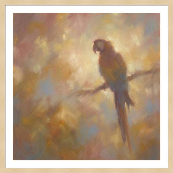 Macaw Perched