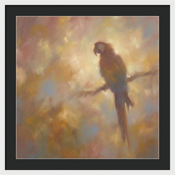 Macaw Perched