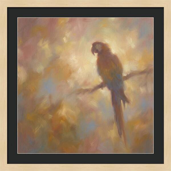 Macaw Perched