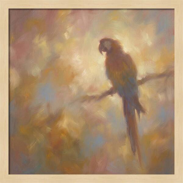 Macaw Perched