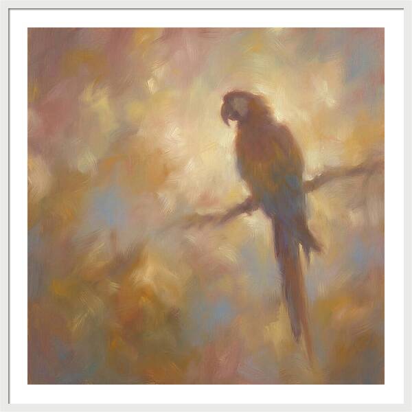 Macaw Perched
