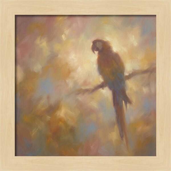 Macaw Perched