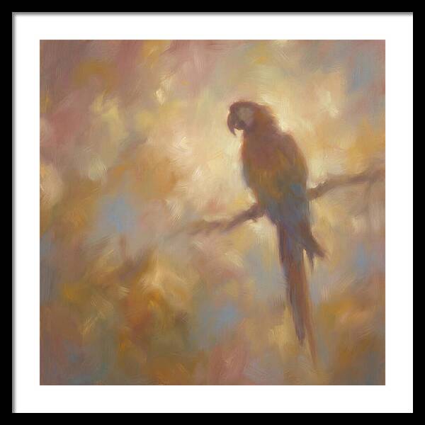 Macaw Perched