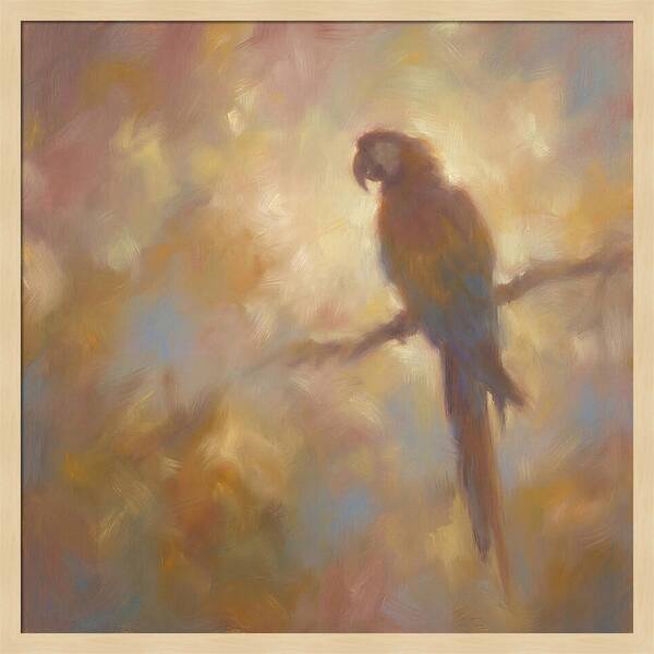 Macaw Perched