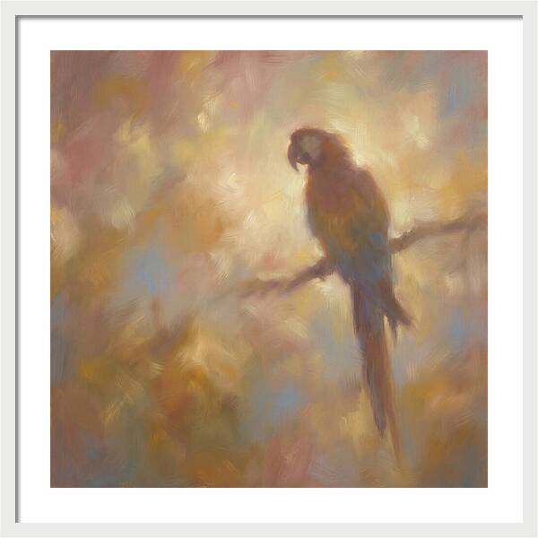 Macaw Perched