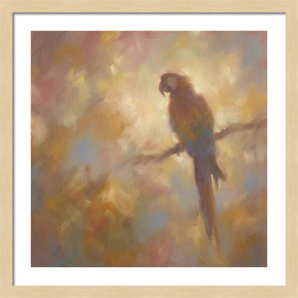 Macaw Perched