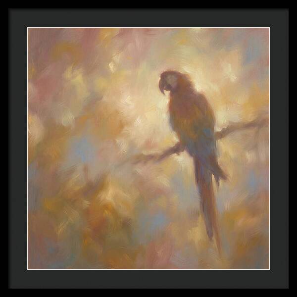 Macaw Perched