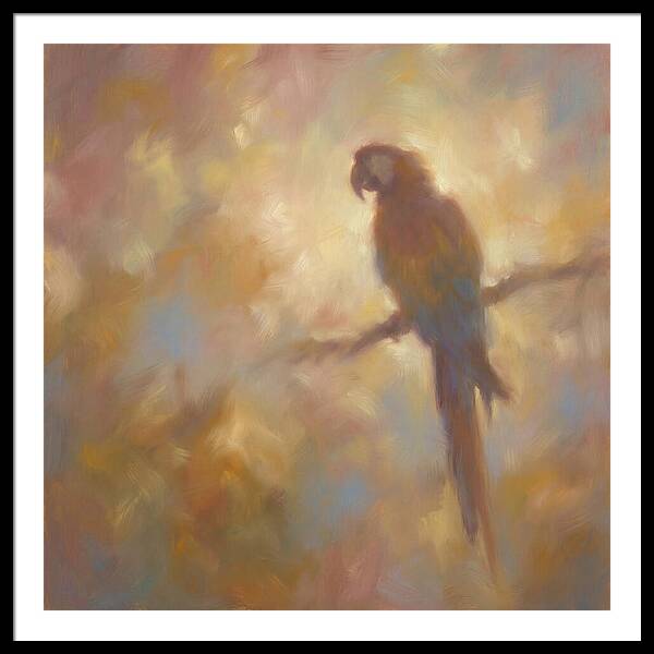 Macaw Perched