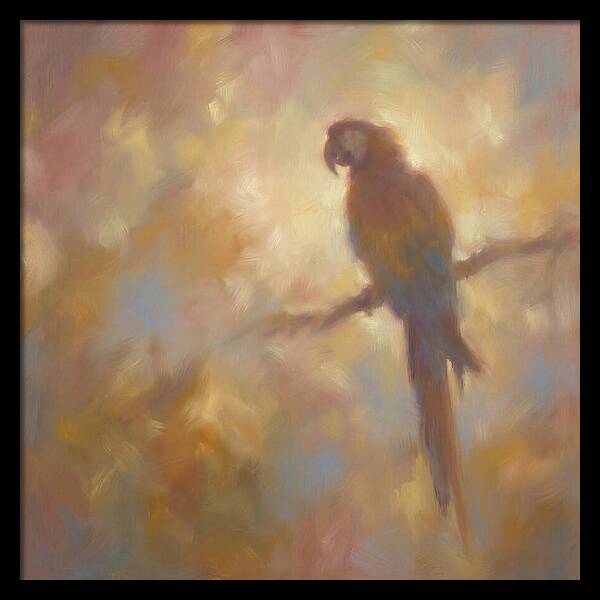 Macaw Perched