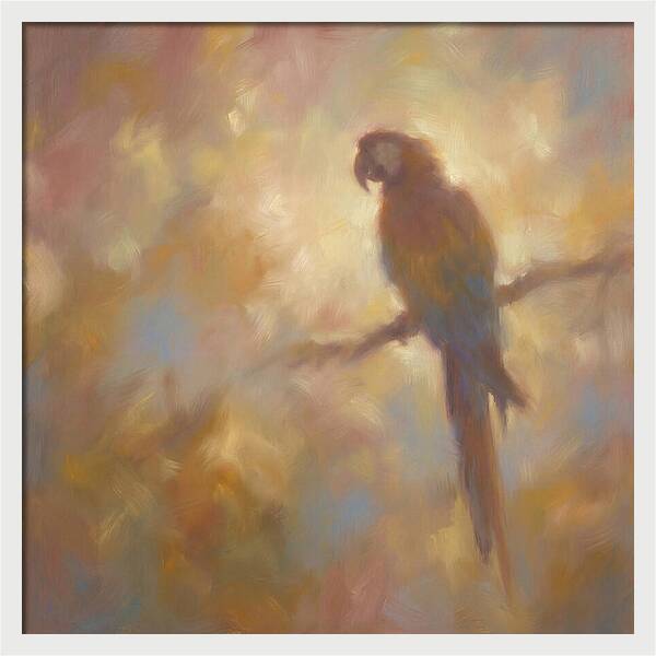 Macaw Perched