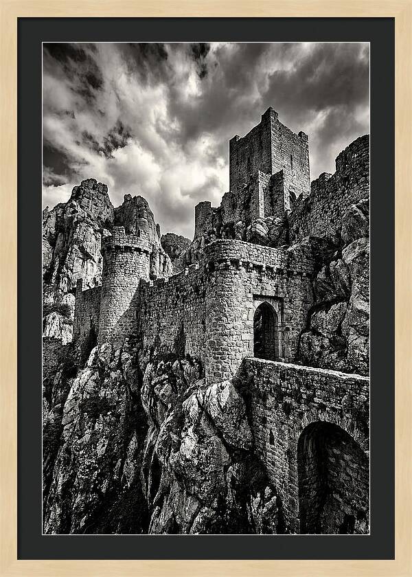 Machu Picchu Citadel In Monochrome