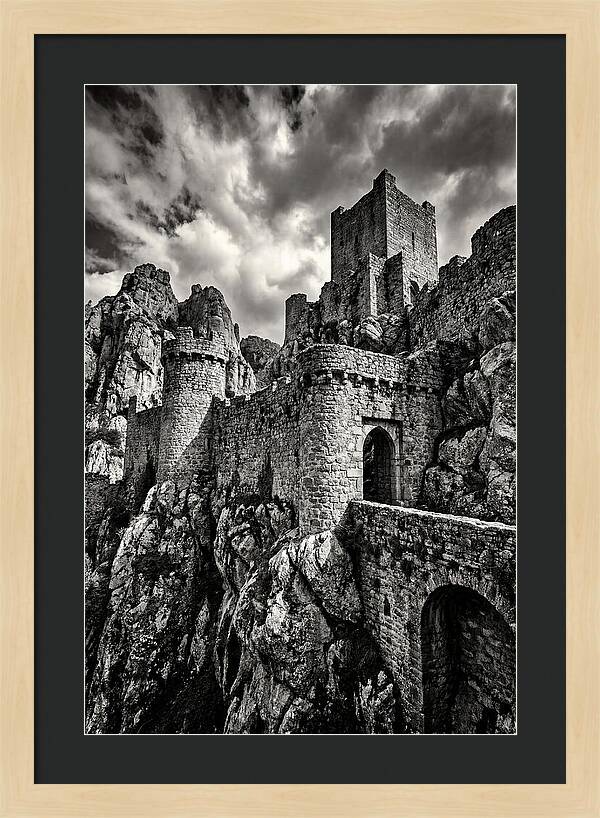 Machu Picchu Citadel In Monochrome
