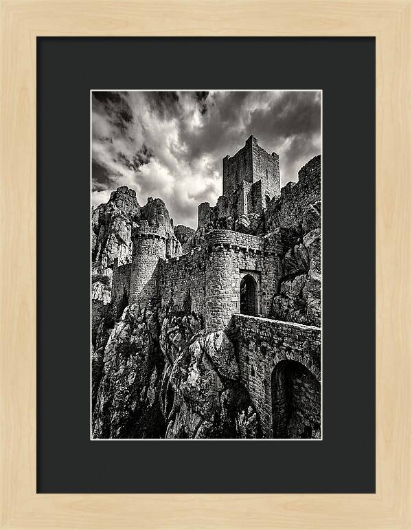 Machu Picchu Citadel In Monochrome