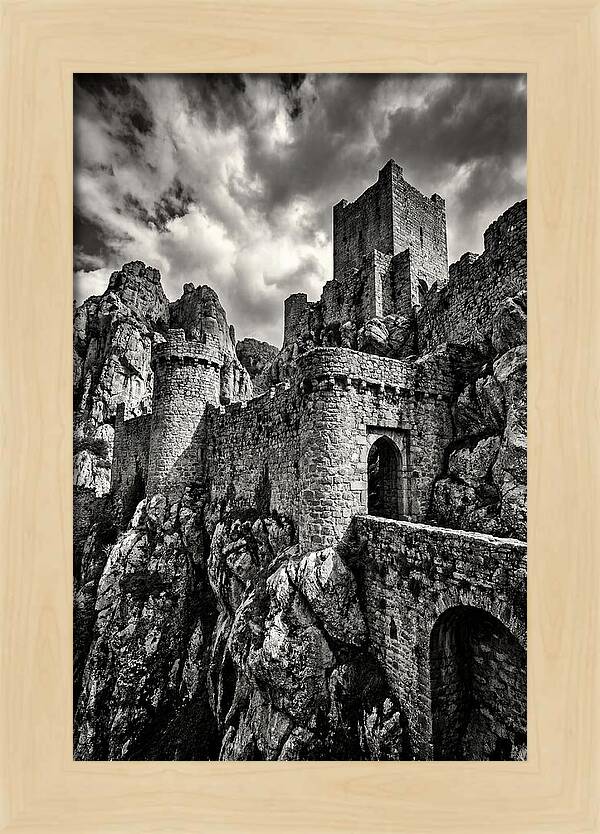 Machu Picchu Citadel In Monochrome