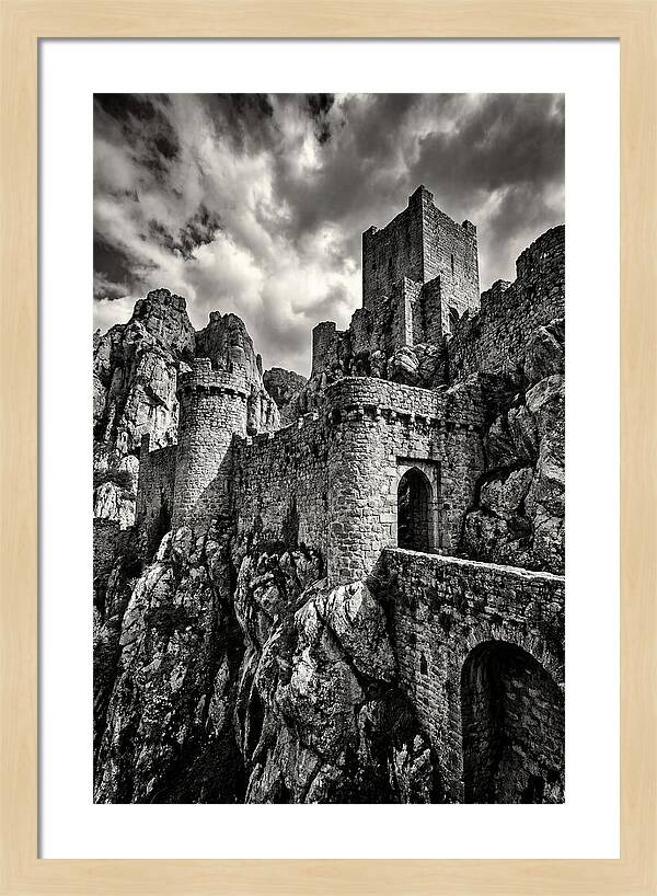 Machu Picchu Citadel In Monochrome