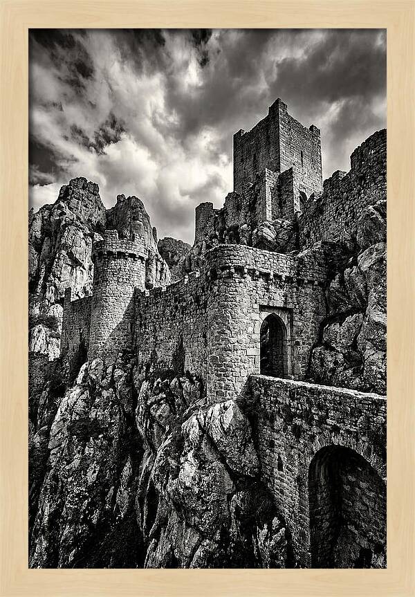 Machu Picchu Citadel In Monochrome