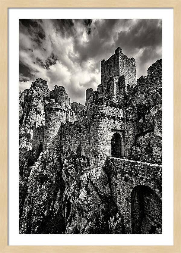 Machu Picchu Citadel In Monochrome