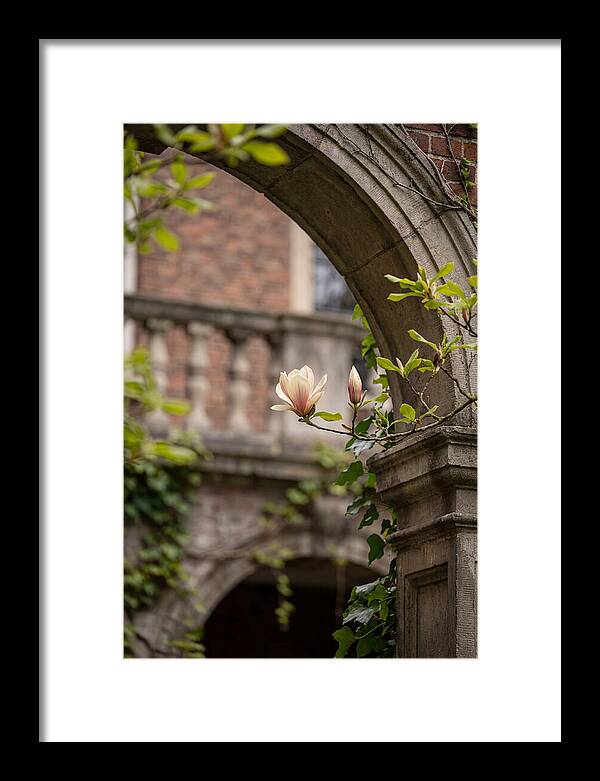 Magnolia Bloom Through Archway