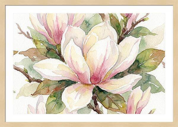 Magnolia Bloom Tranquility