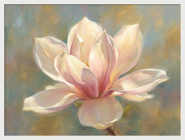 Magnolia Blossom