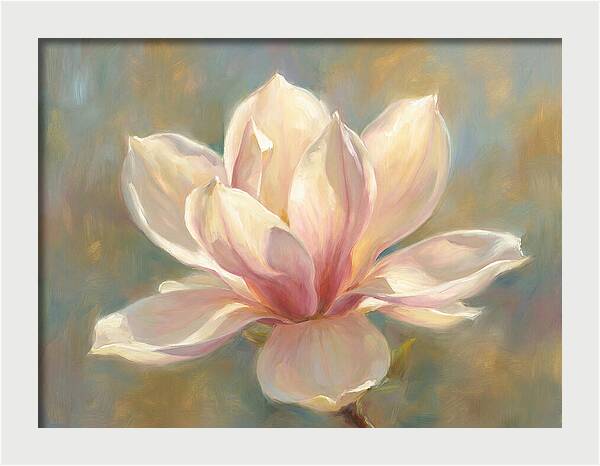 Magnolia Blossom