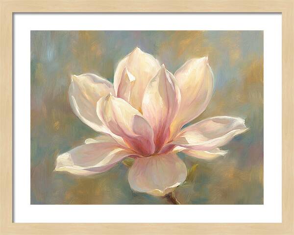 Magnolia Blossom