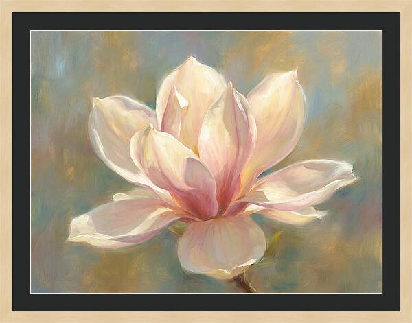 Magnolia Blossom