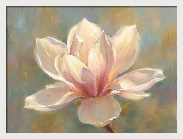 Magnolia Blossom