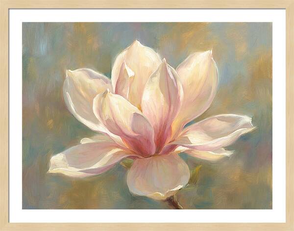 Magnolia Blossom