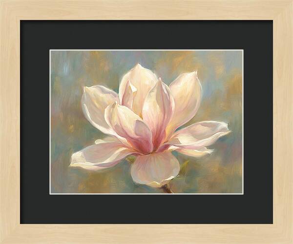 Magnolia Blossom
