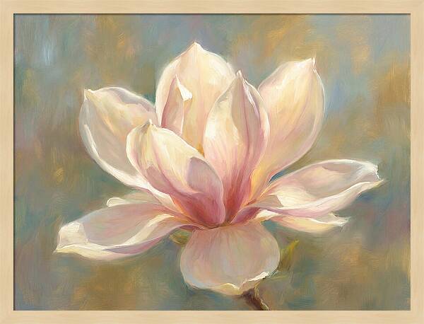 Magnolia Blossom