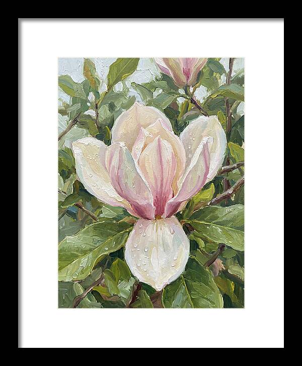 Magnolia Blossom In Bloom