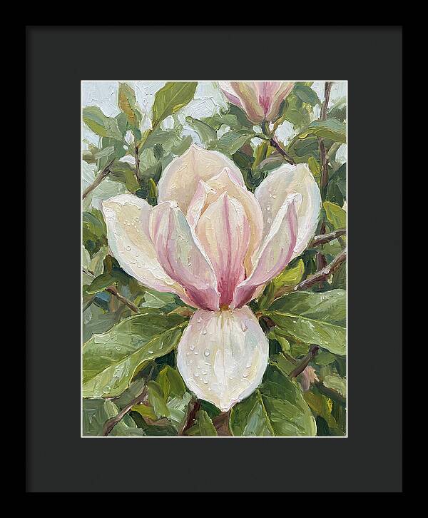 Magnolia Blossom In Bloom