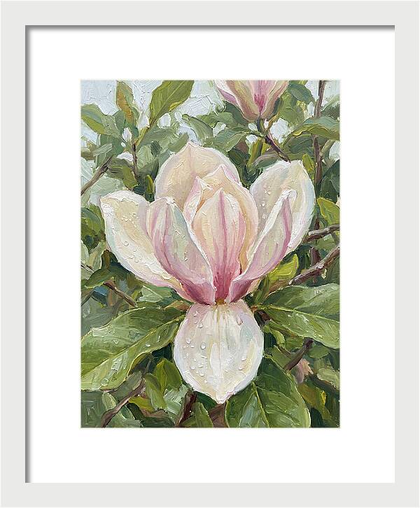 Magnolia Blossom In Bloom