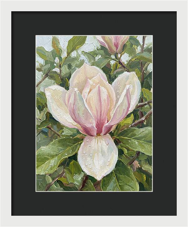 Magnolia Blossom In Bloom