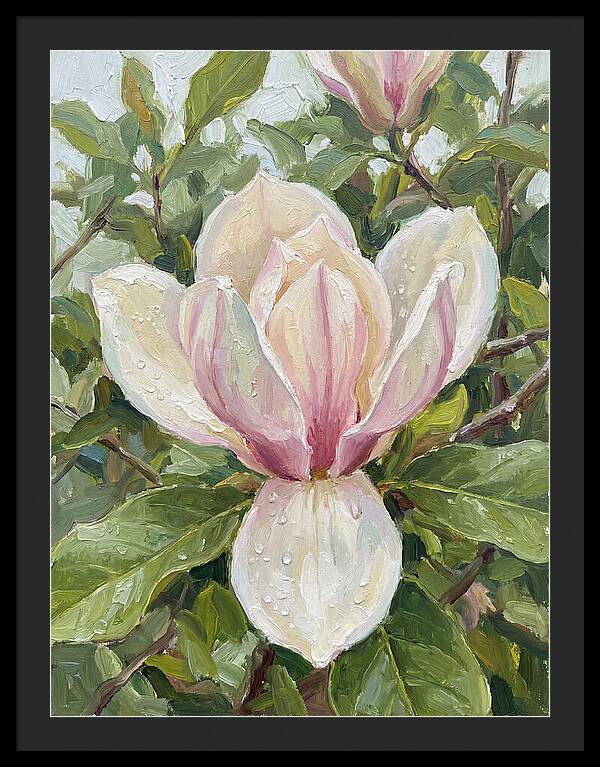 Magnolia Blossom In Bloom