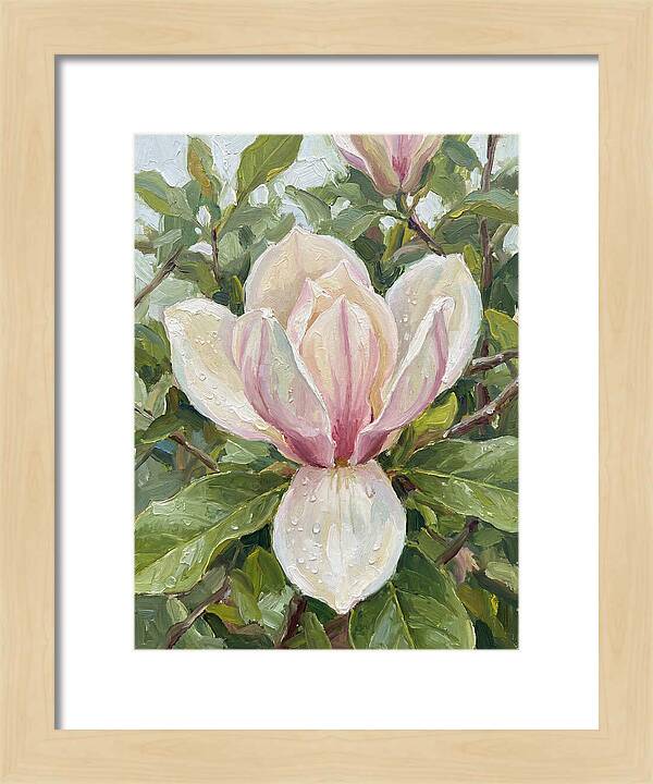 Magnolia Blossom In Bloom