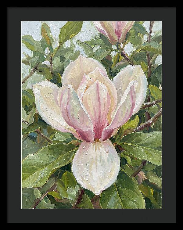 Magnolia Blossom In Bloom