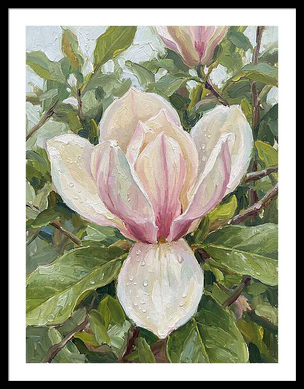 Magnolia Blossom In Bloom