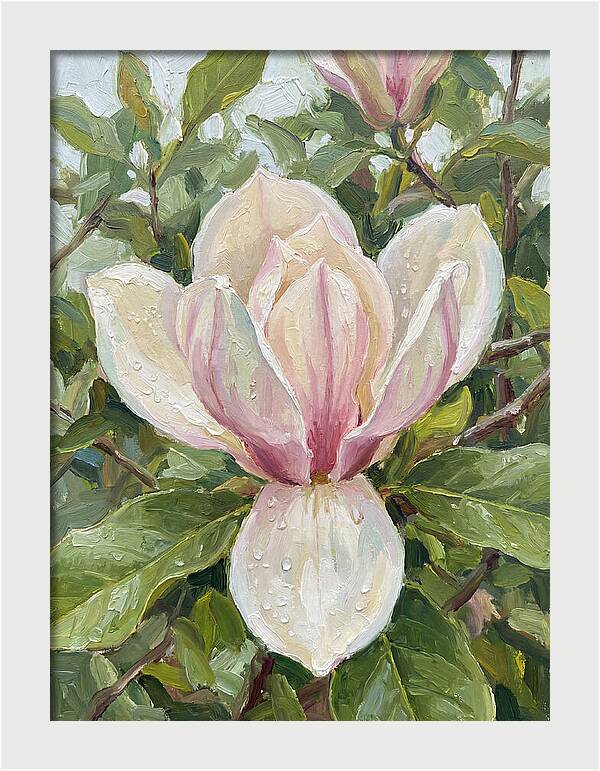 Magnolia Blossom In Bloom