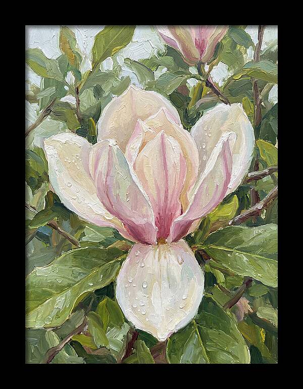 Magnolia Blossom In Bloom