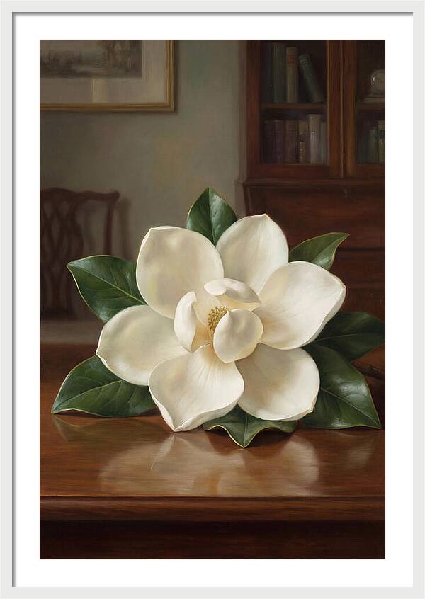 Magnolia Blossom Tranquility