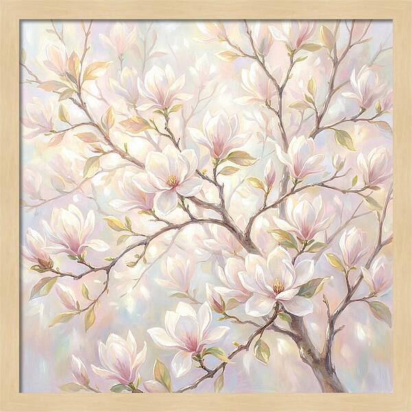 Magnolia Blossoms