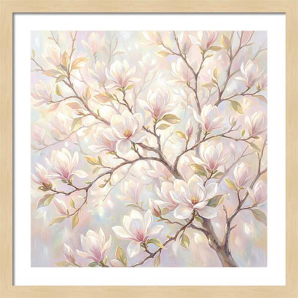 Magnolia Blossoms